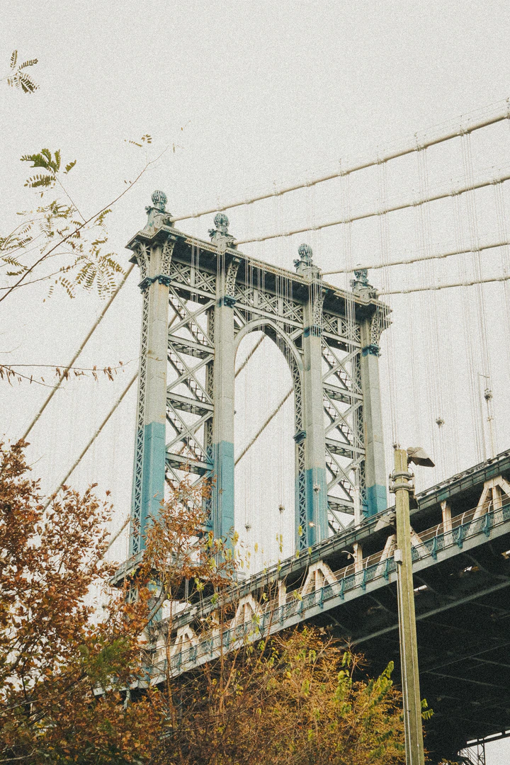 A steel bridge tower rising above autumn trees