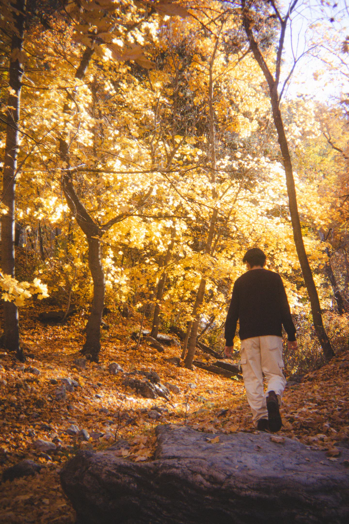 A person walking a trail through golden autumn trees